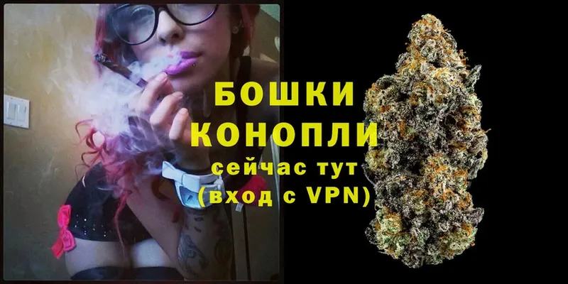 МАРИХУАНА OG Kush  Циолковский 